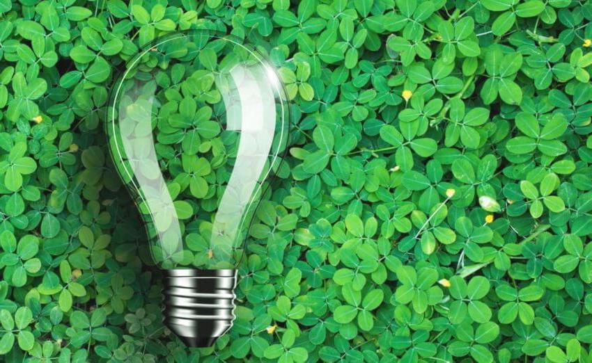 Lightbulb against background of green leaves